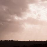 February 2014 :: Atmospheric Jungle Mix