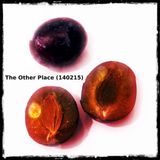 The Other Place (140215)