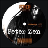Dj Peter Zen presents : Technosophy Vol. 4 @ Midi Radio(02_29_2012)