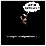 Ain't It Funky Now ?