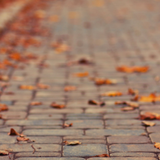 STEE DOWNES - AUTUMN MIX