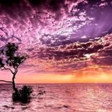 BLuNteD FoRcE aka DJ IRAGON ★ PURPLE AWAKENINGS ★ (Psytrance Morningmix)