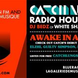 Blue Raccoon Fm & La Galerie De Musique Presents Catch Lungs Radio Hour hosted by DJ Bedz