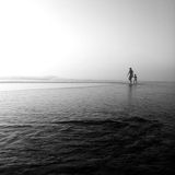 ladoB#329