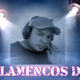 FLAMENCOSDJ -ROMEO SANTOS VOL.2 Y 1 (Lo nuevo)