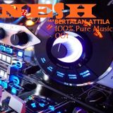 Nesh - 100% Pure Music. 001