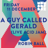 Robin Ball Live at Bussey Building for Memory Box Party, 11-12-15