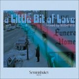 -BUSHMIND-a Little Bit of Love