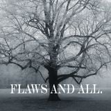 flaws and all. episode 1