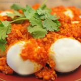 telor balado