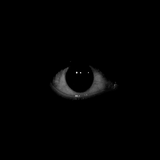 Techno? I Say Techyes! 2