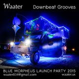 Downbeat Grooves (Blue Morpheus Launch Party 2015)