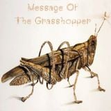 Message of the Grasshopper