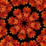 Twilight/Full-On Psy Mix