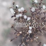January 2015