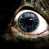 Terrorization (Halloween 2014)