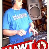 Dj Solveg Hawt Music