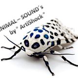 Synthetische Emphatie & Liebe ~ ArtiShock ~ I LOVE YOU JUST A MINIMAL ~ <3