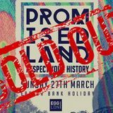 KAY B - OLDSKOOL 93/94 JUNGLE ANTHEMS - PROMISED LAND SET.