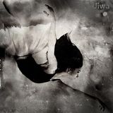 Jiwa