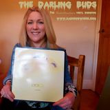 The Vinyl Dungeon 31.March.2014 - The Darling Buds