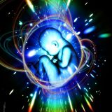 The Rebirth