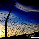 Life Paints. Freedom