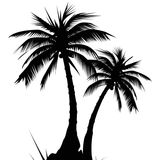 Essential South Beach / The Summer Sessions / mixed by Mark Brickman