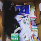 ImStickingWitU