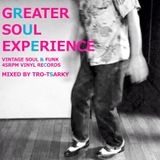 【OMOIDE- 72】Greater Soul Experience (MIXED BY トロ・ツァキ)