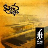 The Fakehunters mix