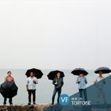 VF Mix 29: Tortoise