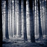 OMEGAPUNKT 004 - Neofolk for beginners