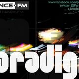 Paradigm 048