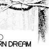 Retroid - Northern Dream Promo Mix 2007