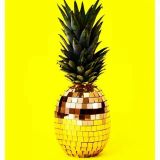 Pineapple March 2016