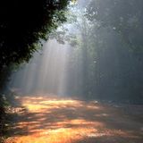 A Crisis In Consciousness