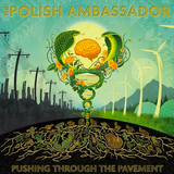 The Polish Ambassador