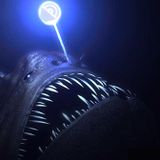 Todd Howard- 20,000 Leagues- October 2012