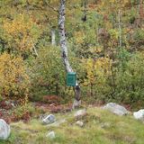 Post Muzika (2011-10-02)