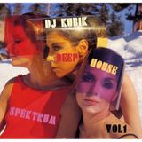 DEEP HOUSE SPEKTRUM VOL 1 MIXED BY DJ KUBIK