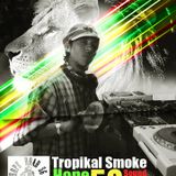 °°°° TROPIKAL SMOCK SELECTER °°° MIXTAPE ------ NEW c ZION -------
