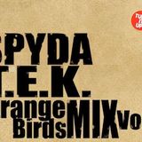 Strange Birds Mix Vol.2