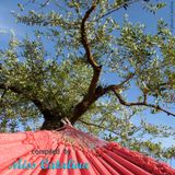 Μεσογειακή Καλοκαιρινή Ραστώνη - Mediterranean Summer Sloth