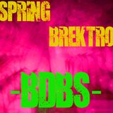 SpringBrEKTRO -BDBS-