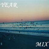 Year Mix 2015