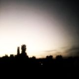 firefly mx (10122012)