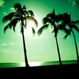 LAURENT WILD - SUMMER MIX