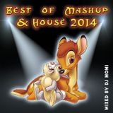 Best of MashUp & House 2014 - mixed by DJ Momi