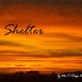 Shelter